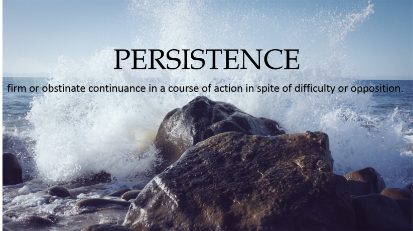 Persistence firm or obstinate continuance in a course of action  in spite of difficulty or opposition 